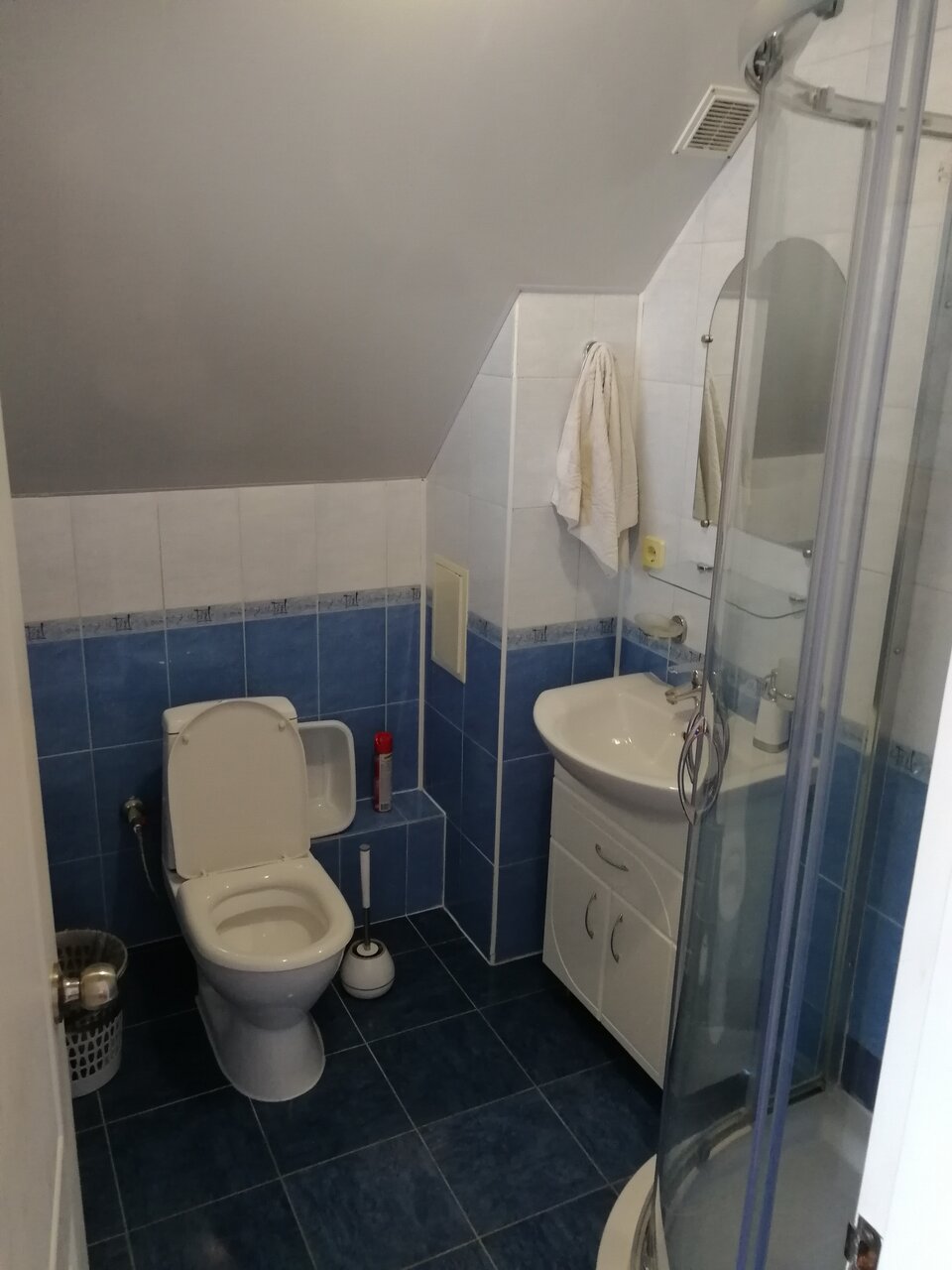 Гостиница Южный Домик Алушта-66