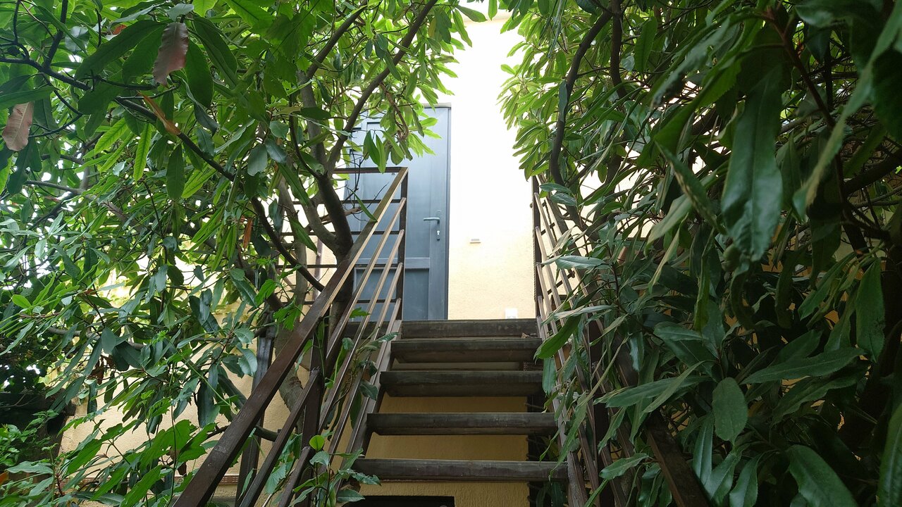 Гостиница Южный Домик Алушта-112