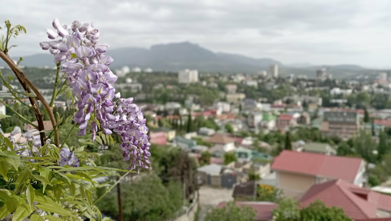 Гостиница Южный Домик Алушта-150