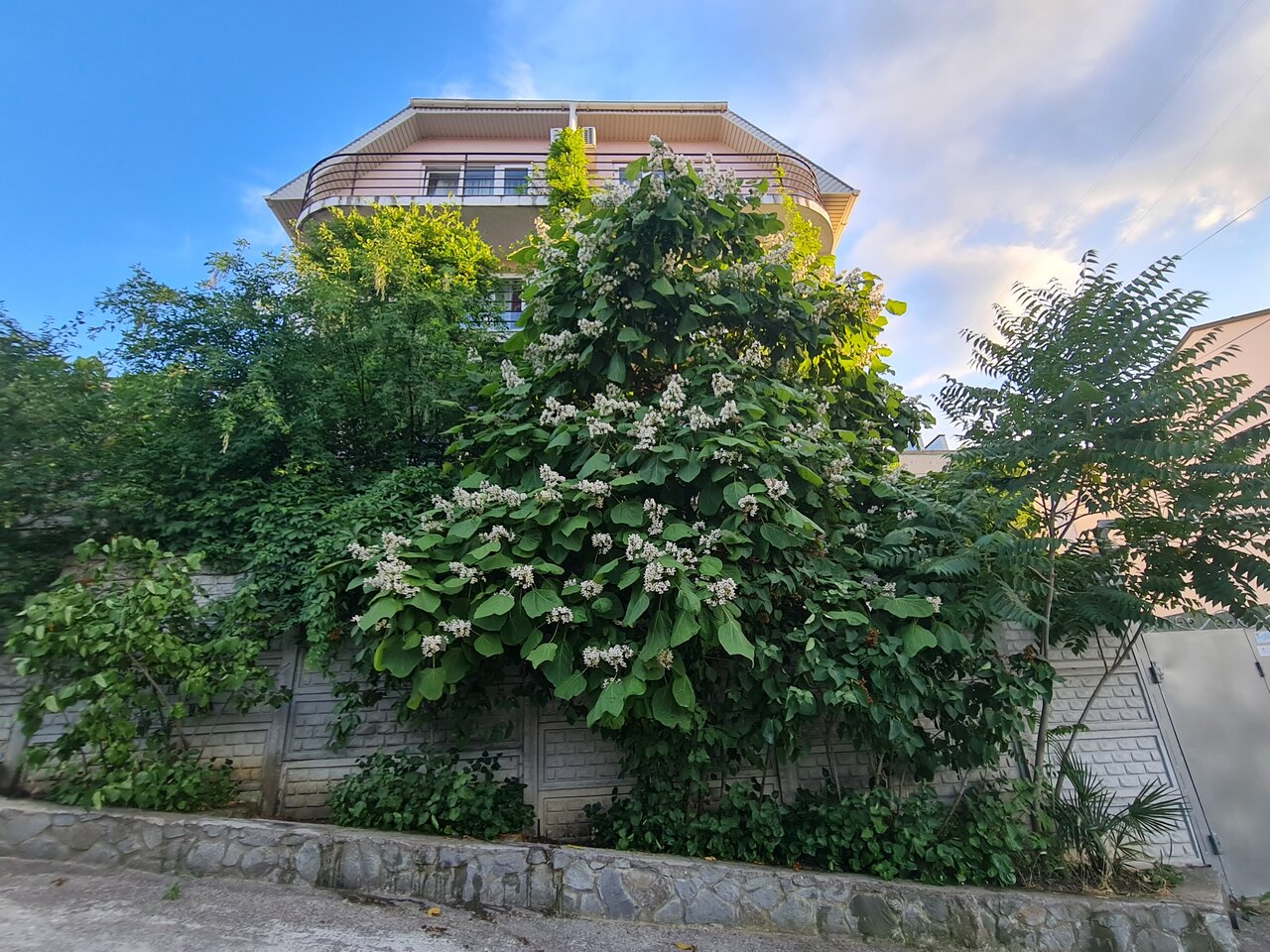 Гостиница Южный Домик Алушта-13