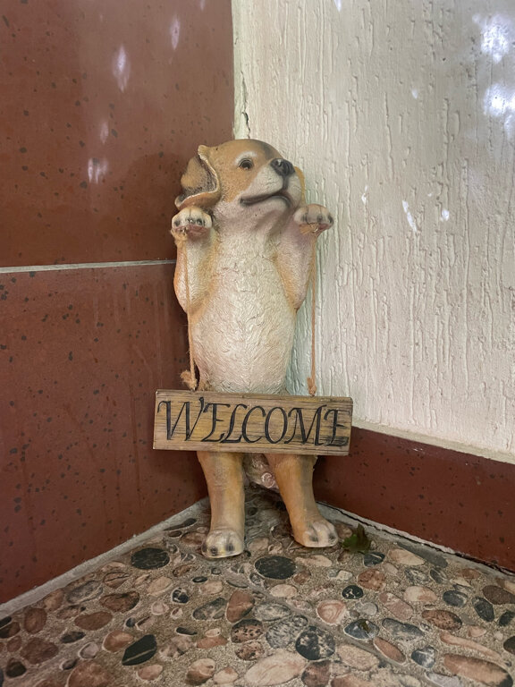 Гостиница Южный Домик Алушта-78