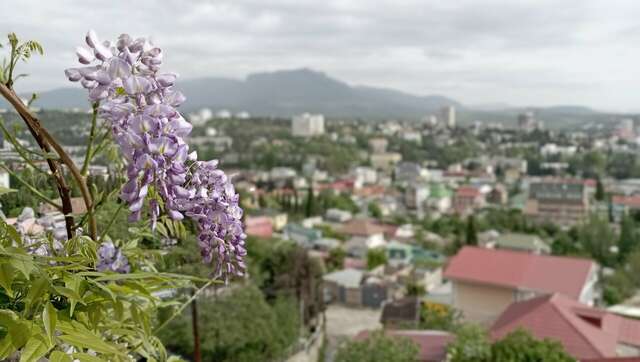 Гостиница Южный Домик Алушта-149