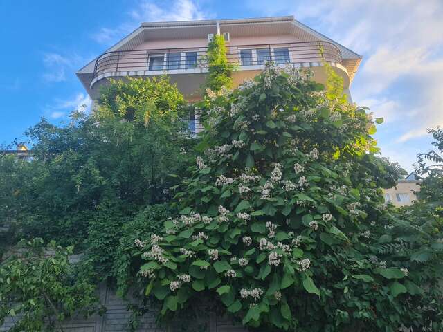 Гостиница Южный Домик Алушта-116